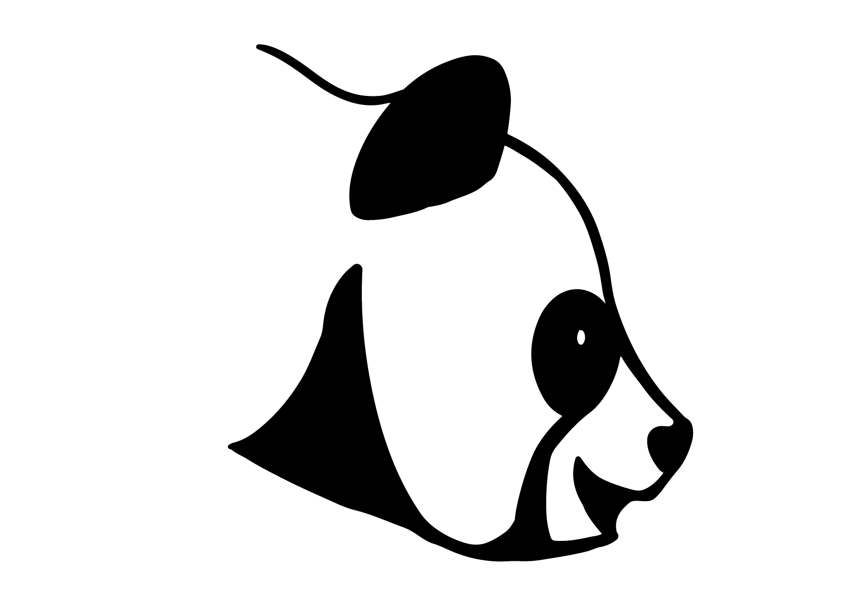Panda Plus